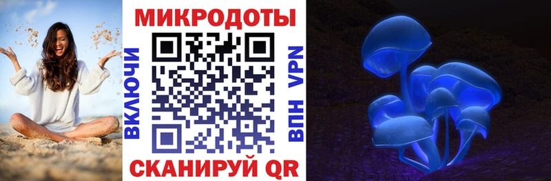 hydra tor Сасово Псилоцибиновые грибы Psilocybine cubensis даркнет какой сайт где купить наркоту